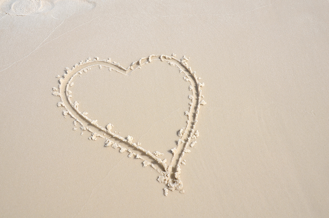 South Florida Beach Wedding Anna Hess