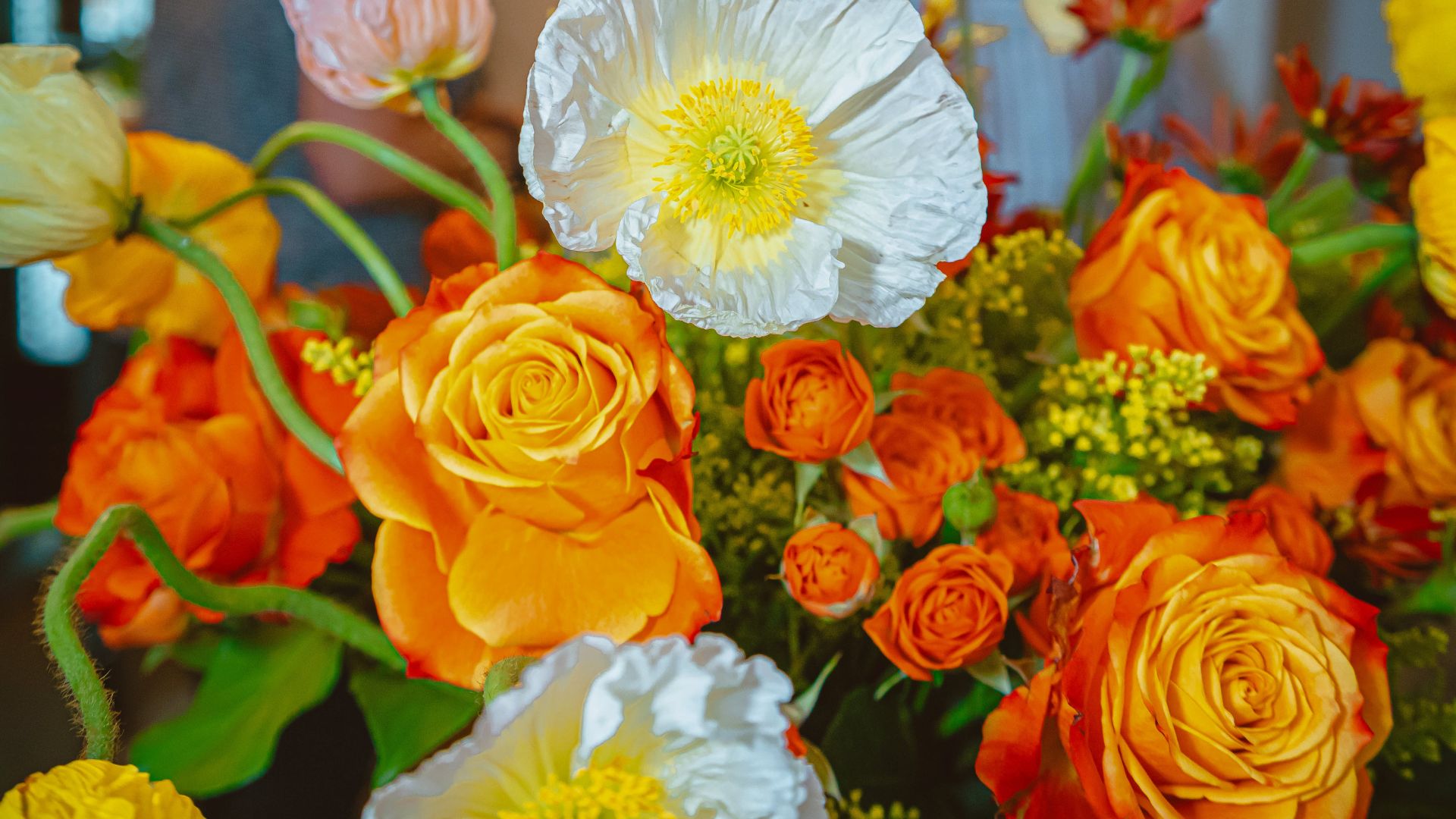 Thanksgiving In Full Bloom